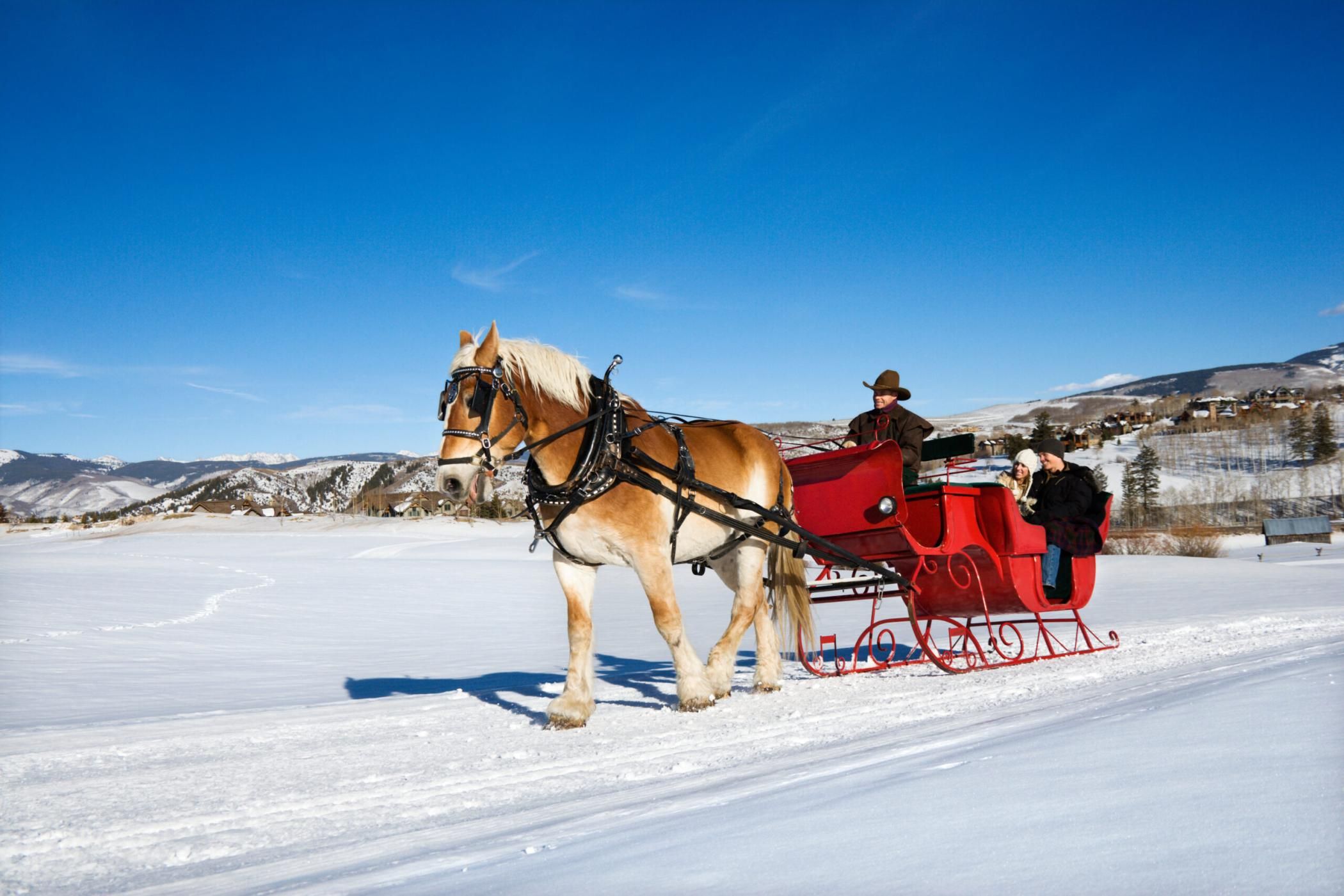 Young Caucasian couple and mid adult man on horse drawn sleigh ride through winter landscape.