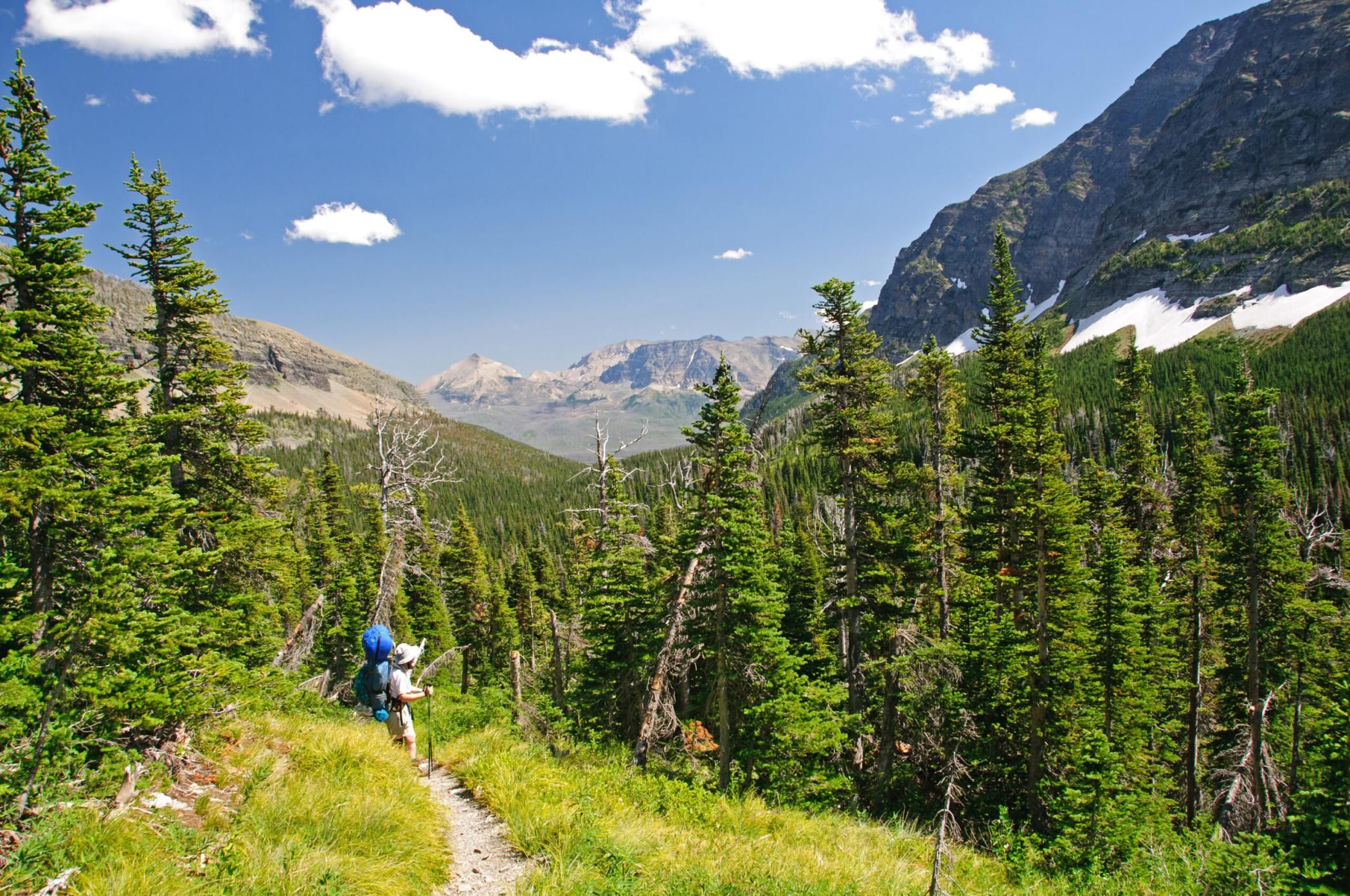 Backpacker in the Lake Okatomi Trail In Glacier National Park