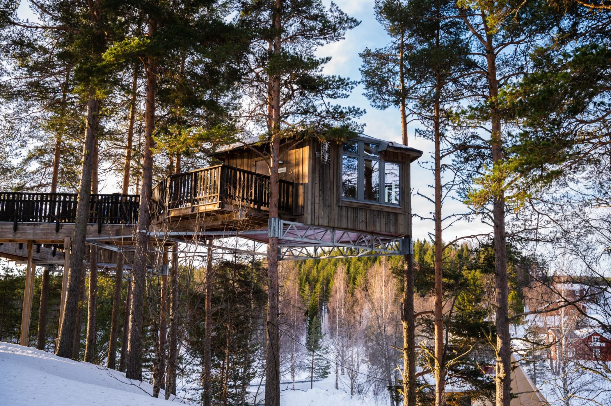 Beautiful outdoor rural wooden structure tree house in the forest based on the pine tree in a winter wonderland in europe